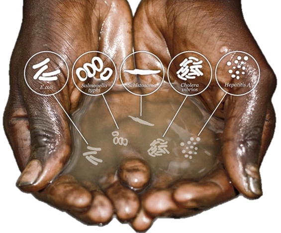 Hiểm họa mắc bệnh ung thư từ nguồn nước nhiễm bẩn