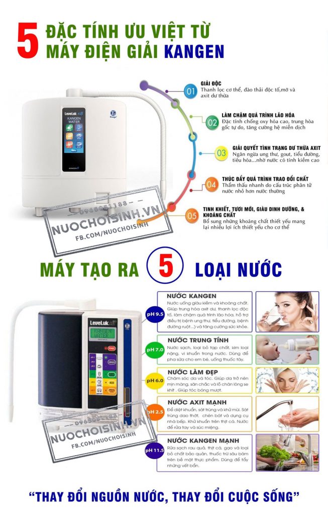 Nước Kangen mua ở đâu?